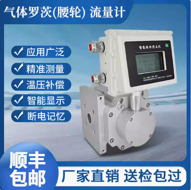 LLQ-25氣體羅茨腰輪流量計(jì)...